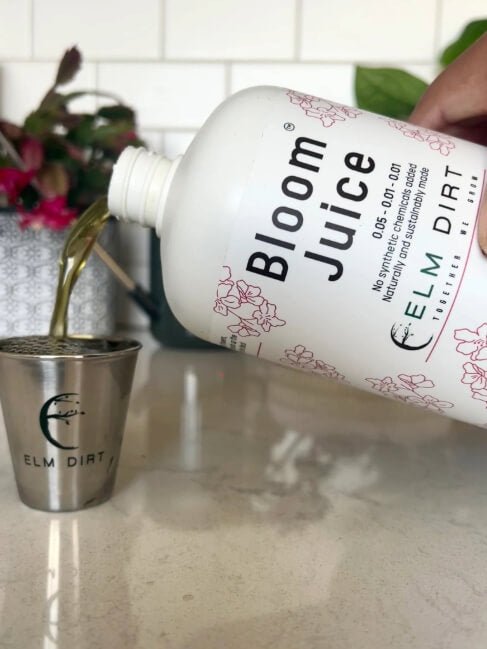 indoor plant care products Plant Care Kit