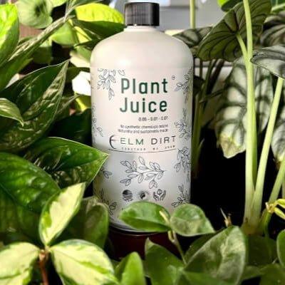 Plant Juice test - Elm Dirt - 