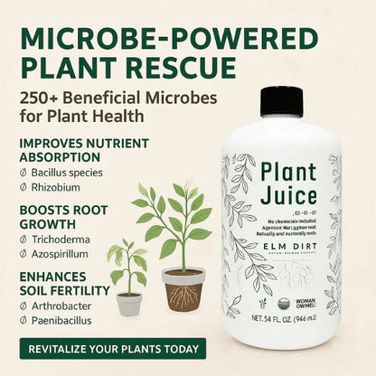 Plant Juice test - Elm Dirt - 