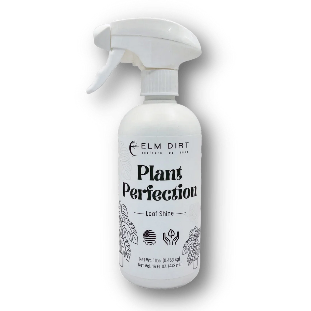 Plant Perfection - Elm Dirt - 