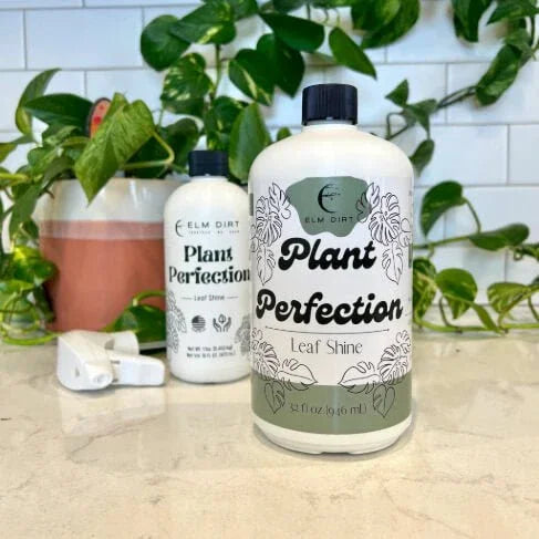Plant Perfection - Elm Dirt - 