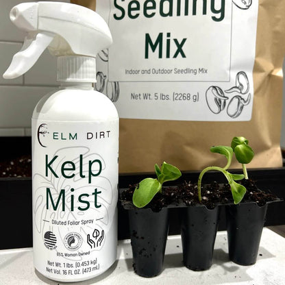 Seed Starting Bundle - Elm Dirt - 