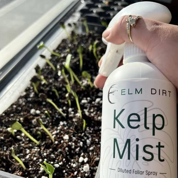 spray garden seed Seed Starting Bundle - Everything You Need for a Thriving Garden