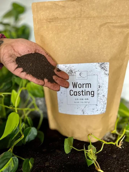 worm castings for succulents Organic Worm Casting - 2 lbs