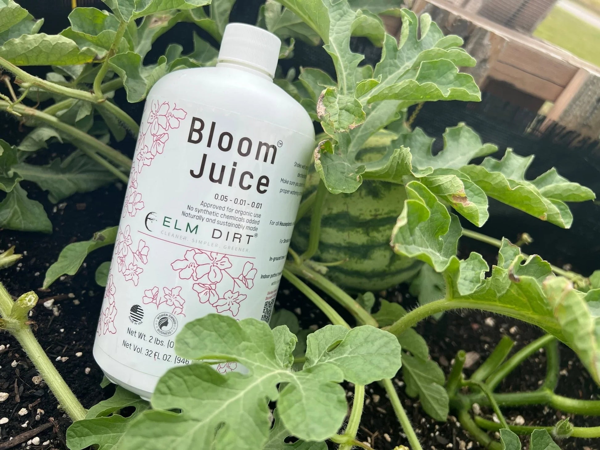 Bloom Power Bundle - Elm Dirt - 
