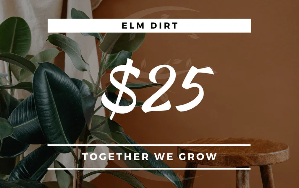 Elm Dirt Gift Card - Elm Dirt - Gift Cards