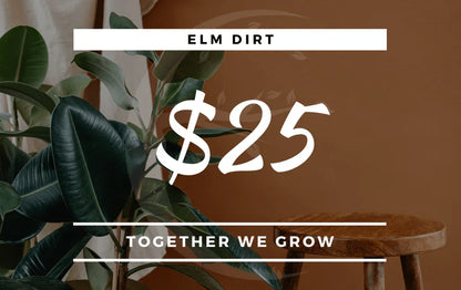 Elm Dirt Gift Card - Elm Dirt - Gift Cards