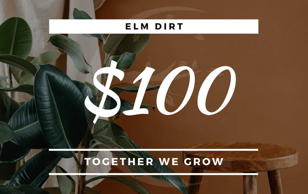 Elm Dirt Gift Card - Elm Dirt - Gift Cards