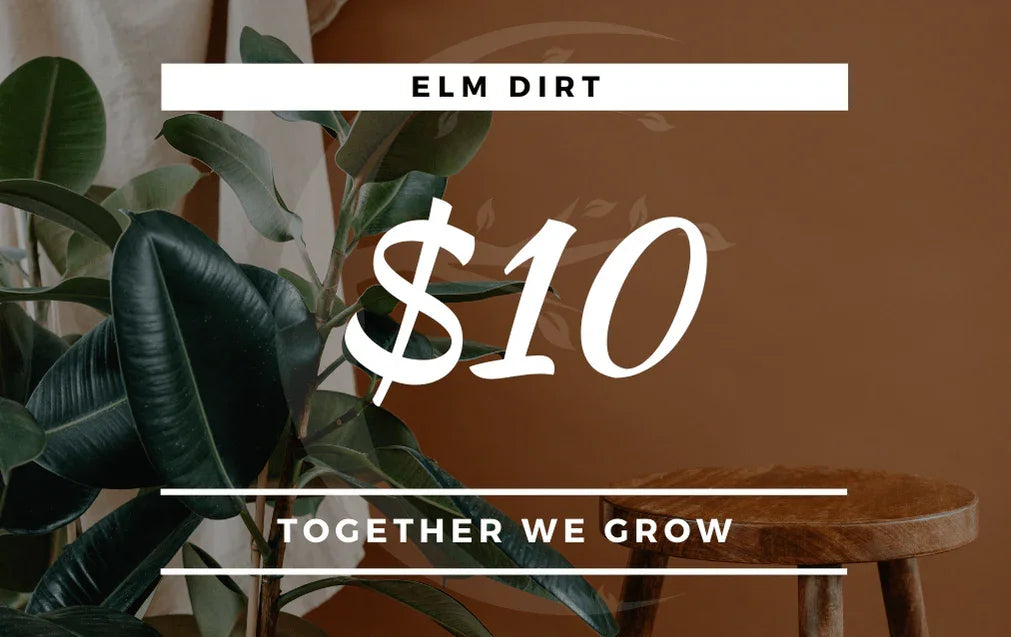 Elm Dirt Gift Card - Elm Dirt - Gift Cards
