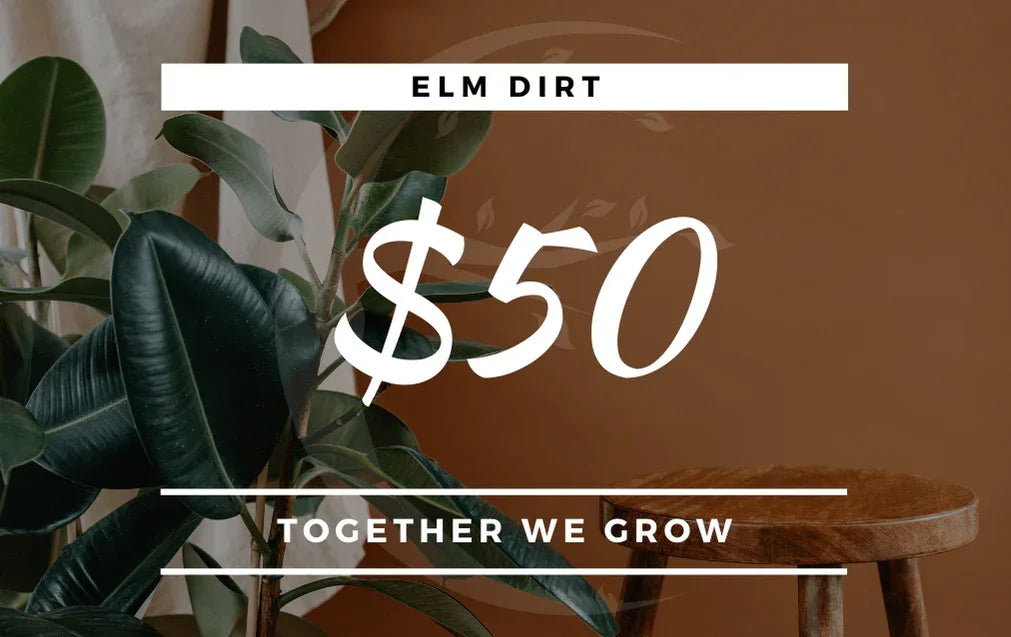 Elm Dirt Gift Card - Elm Dirt - Gift Cards