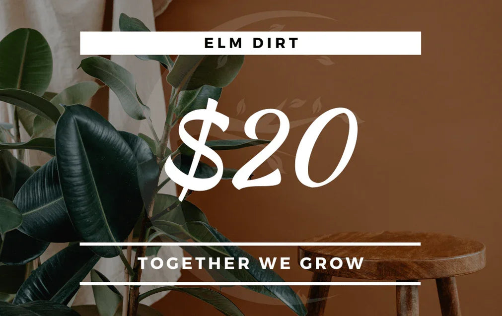 Elm Dirt Gift Card - Elm Dirt - Gift Cards