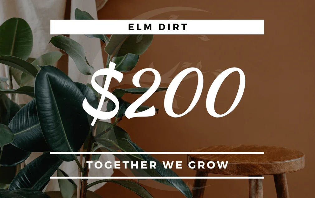Elm Dirt Gift Card - Elm Dirt - Gift Cards