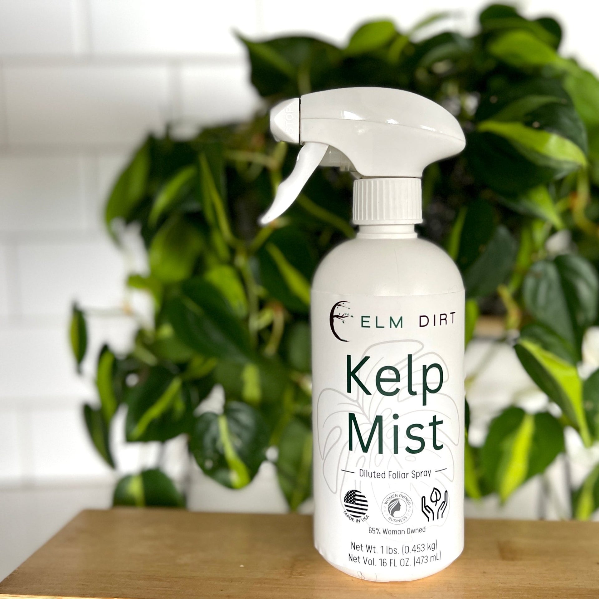 organic liquid seaweed and kelp fertilizer supplement by bloom city Kelp Mist