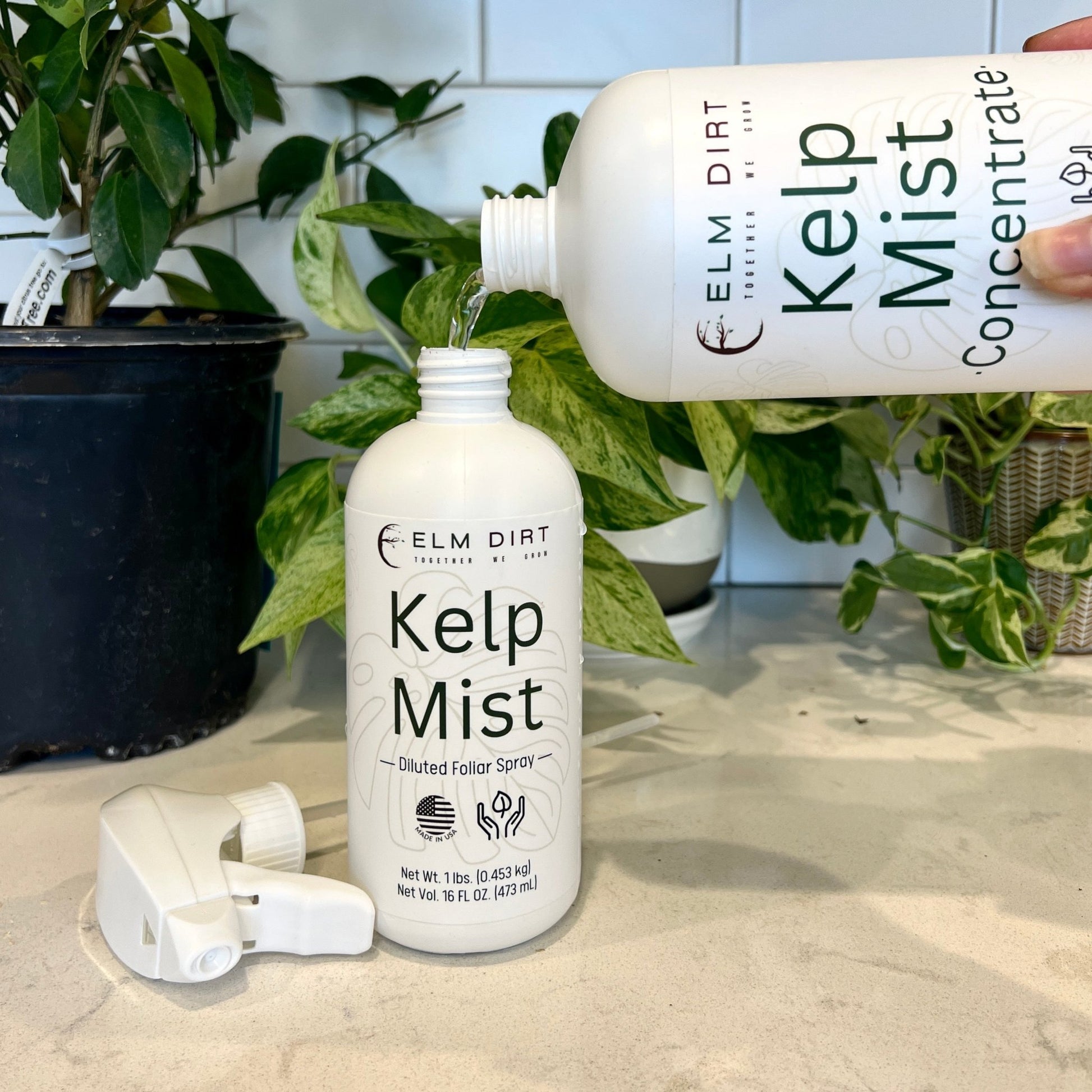 seaweed solution for indoor plants Kelp Mist