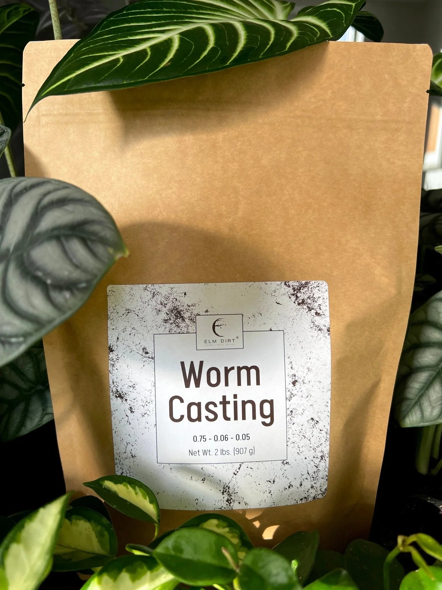 Worm Castings - Elm Dirt - 
