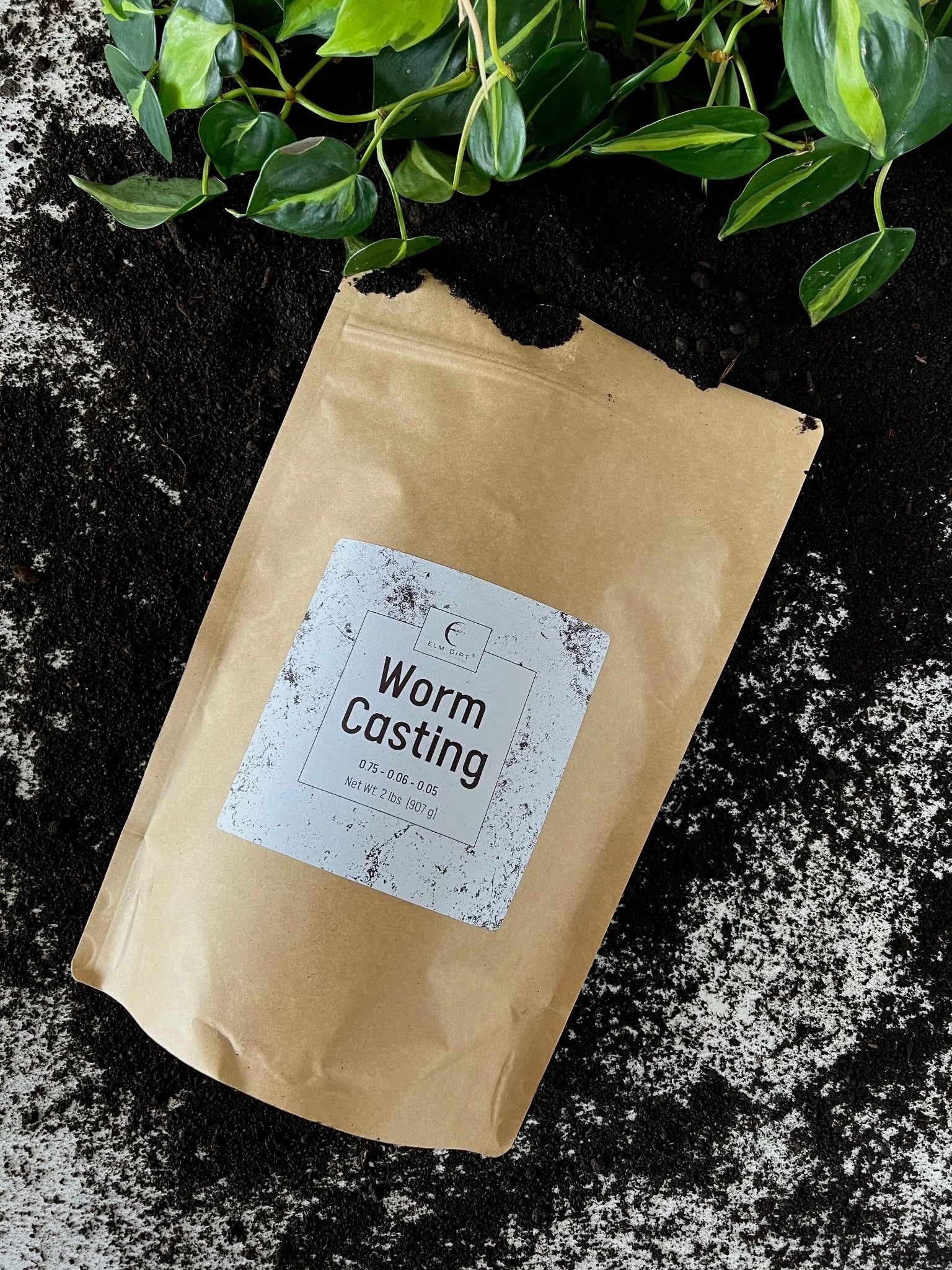 Worm Castings - Elm Dirt - 